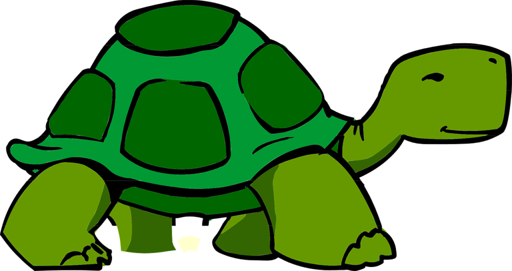 go slow and steady in your speech, like the tortoise from the children's book