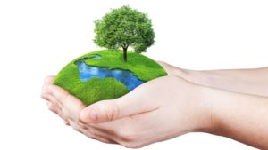 Speech Writing About Environment