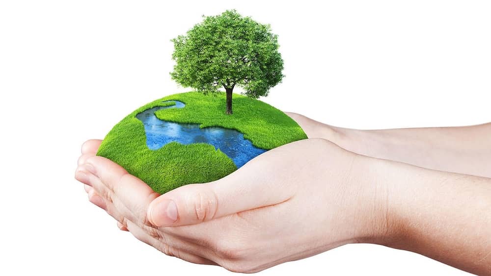 Speech Writing About Environment